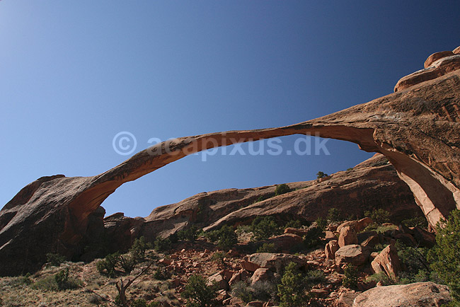Arches National Park. Landscape Arch i Arches National Park; ; Arches National Park / Utah; USA; Nord Amerika; ; Sandsten, erosion, nationalparker, landskaber