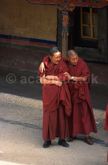 Jokhang. Tibetanske buddist munke i Jokhang Templet i Lhasa; ; Lhasa; Tibet / Kina; Asien; ; Buddhisme, klostre, Himalaya, lamaisme, religion