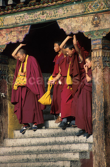 Jokhang. Tibetanske buddist munke i Jokhang Templet i Lhasa; ; Lhasa; Tibet / Kina; Asien; ; Buddhisme, klostre, Himalaya, lamaisme, religion