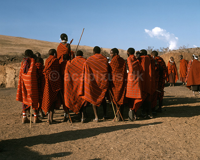 Masaier. Masai krigere; ; Ngorongoro Conservation Area; Tanzania; Afrika; ; 