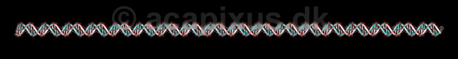 DNA. Deoxyribo Nucleic Acid, DNA molekyle model; ; ; ; ; ; genetik, gener, arvemateriale, genetisk, GMO, videnskab, gensplejsning