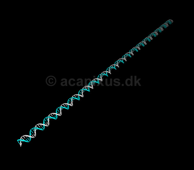 DNA. Deoxyribo Nucleic Acid, DNA molekyle model; ; ; ; ; ; genetik, gener, arvemateriale, genetisk, GMO, videnskab, gensplejsning