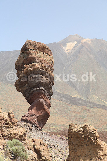 Teide. Cinchado klippen ved Los Roques de Garcia i Las Canadas nationalparken p� Teide vulkanen p� Tenerife i de Canariske �er; ; Teide / Tenerife; Spanien; ; ; vulkaner, nationalparker, vulkan, lava, aske, Kanarie �er