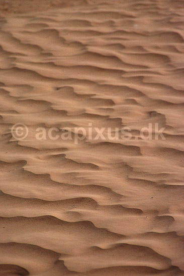 Sahara. Sand�rken i Sahara N�r Douz i Tunesien ( Scan af KOL1038 ) ; ; Douz / Sahara; Tunesien; Afrika; ; �rken, sand, t�rke