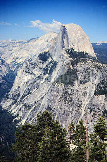 Half Dome. Half Dome og Tenaya Canyon - Fotograferet fra Glacier Point ( Scan af KOL422 ) ; ; Yosemite National Park / Californien; USA; Nordamerika; ; Bjerge
