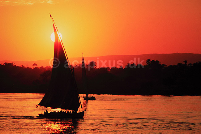 Felluca i solnedgangen. Felluca sejler p� Nilen i solnedgangen ( Scan af KOL2467 ) ; ; Luxor; Egypten; Afrika; ; Sejlb�d, sejlb�de, solnedgang