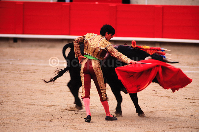 Tyref�gtning. Matadoren udf�rer en man�vre med den blodr�de muleta kappe ( Scan af KOL612 ) ; ; Plaza de Toros Monumental / Barcelona; Spanien; ; ; Matador, tyref�gter