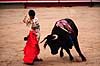 Tyref�gtning. Matadoren udf�rer en man�vre med den blodr�de muleta kappe ( Scan af KOL609 )   Plaza de Toros Monumental / Barcelona Spanien   Matador, tyref�gter