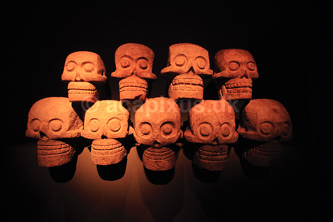 Tzompantli opstilling. Tzompantli opstilling - Udstillet i Museo de San Ildefonso ( Scan af KOL6669 ) ; ; Mexico City; Mexico; Nordamerika; ; 