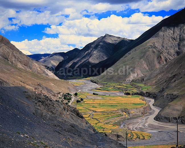 Tibet. Landsby og marker p� det Tibetanske h�jplateau ( Scan af KOL4307 ); ; Himalaya bjergene; Tibet ( Kina ); Asien; ; 
