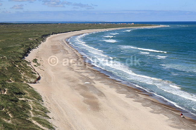 Skagerak. Udsigt over klitplantage, stranden og Skagerak fra Bulbjerg - set i retning af Hanstholm; ; Bulbjerg / Fr�strup; Danmark; ; ; Vesterhav, Vesterhavet, ferie, ferieliv, sandstrand, b�lger, hav, havet, br�nding, sandklitter, klit, sandklit, klitter