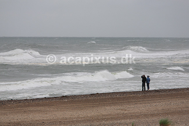 Strandliv. Ferieg�ster p� stranden i bl�sevejr ved Klim Strand; ; Klim Strand / Klim; Danmark; ; ; Vesterhav, Vesterhavet, ferie, ferieliv, Skagerak, Jammerbugten