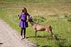 D�dyr. Et ungt d�dyr s�ger kontakt med ung pige i J�gersborg Dyrehave Dama dama J�gersborg Dyrehave / Sj�lland   pattedyr Hjorte, Cervidae, Parrett�ede hovdyr, Artiodactyla, hjort, d�vildt, gevir, dr�vtygger, brunst, fallow deer, d�hjort, dovhjort