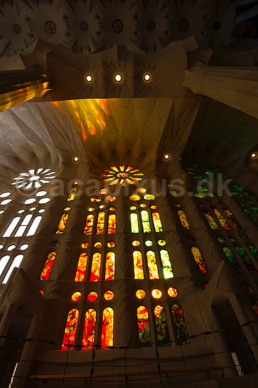 La Sagrada Familia. Interi�r i hovedskibet i Gaudis uf�rdige kirke, Sagrada Familia, i Barcelona; ; Barcelona; Spanien; ; ; Temple Expiatori de la Sagrada Familia, Basilica and Expiatory Church of the Holy Family, Antoni Gaudi, UNESCO world heritage