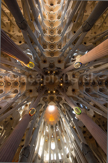 La Sagrada Familia. Interi�r i hovedskibet i Gaudis uf�rdige kirke, Sagrada Familia, i Barcelona; ; Barcelona; Spanien; ; ; Temple Expiatori de la Sagrada Familia, Basilica and Expiatory Church of the Holy Family, Antoni Gaudi, UNESCO world heritage
