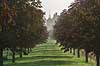 Krenkerup Estate. Krenkerup Slot bag alle af kastanietr�er  Saksk�bing Danmark   Slotte, gods, godser