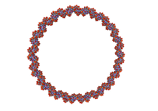 DNA. Cirkul�rt plasmid, Deoxyribo Nucleic Acid, DNA molekyle model; ; ; ; ; ; genetik, gener, arvemateriale, genetisk, GMO, videnskab, gensplejsning
