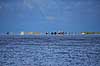 R�m�. Strandsejler p� S�nderstrand p� R�m� spejler sig i varmeflimmer over vadehavet  R�m� Danmark   Himmel og hav, spejlinger, sommerferie, ferie