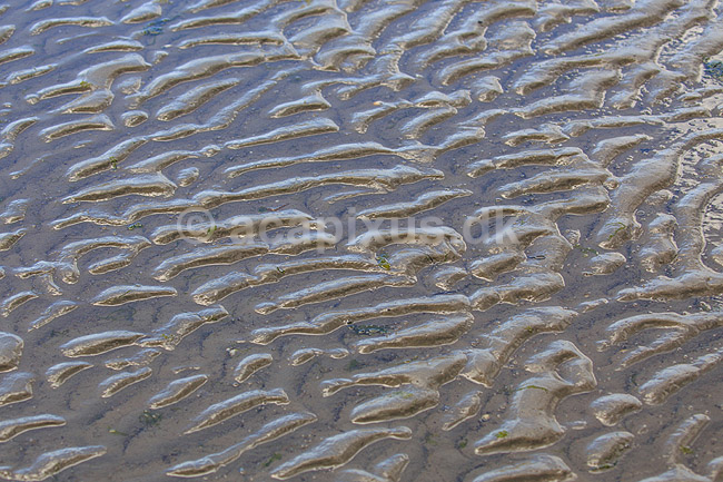 R�m�. Sandkrusninger eller sandm�nstre i sandet i vaden ved S�nderstrand / vadehavet p� R�m�; ; R�m�; Danmark; ; ; M�nstre
