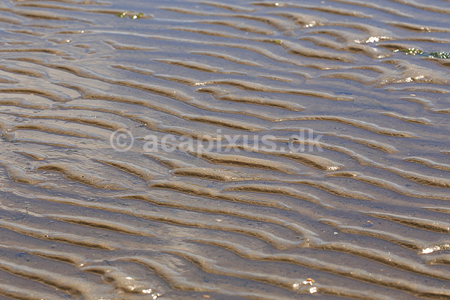 R�m�. Sandkrusninger eller sandm�nstre i sandet i vaden ved S�nderstrand / vadehavet p� R�m�; ; R�m�; Danmark; ; ; M�nstre