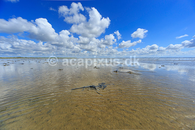 R�m�. Vadehavet ved S�nderstrand p� R�m� - himmel med skyer spejles i det lavtst�ende spejlblanke vand med sandorm p� vaden; ; R�m�; Danmark; ; ; Himmel og hav, spejlinger, sommerferie, ferie