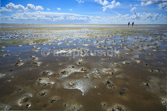 R�m�. Sandorm p� vaderne ved S�nderstrand p� R�m� - en af Danmarks bredeste sandstrande; ; R�m�; Danmark; ; ; 