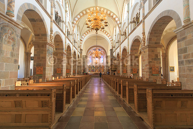 Ribedomkirke. Kirkeskibet og alteret i Ribe Domkirke (Vor Frue Kirke Maria); ; Ribe; Danmark; ; Sev�rdigheder; Kirker, Domkirker, kristendom, 