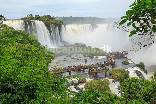 Iguazu vandfaldene. Turister ved Iguazu vandfaldene med Garganta del Diablo bagerst set fra den Brasilianske side af vandfaldene; ; Iguazu; Brasilien; Sydamerika; ; Vandfald, The Iguazu Falls, Iguaz� Falls, Iguassu Falls, Igua�u Falls, Cataratas del Iguaz�, Cataratas do Igua�u 