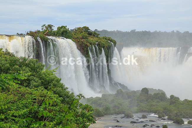 Iguazu vandfaldene. Iguazu vandfaldene med Garganta del Diablo bagerst set fra den Brasilianske side af vandfaldene; ; Iguazu; Brasilien; Sydamerika; ; Vandfald, The Iguazu Falls, Iguaz� Falls, Iguassu Falls, Igua�u Falls, Cataratas del Iguaz�, Cataratas do Igua�u 