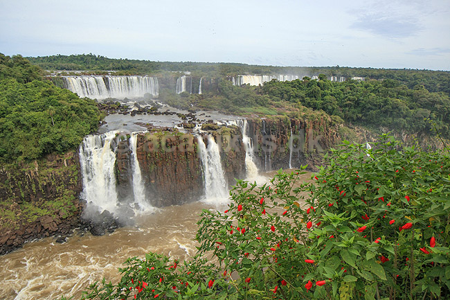 Iguazu vandfaldene. Iguazu vandfald p� den Argentinske side set fra den Brasilianske side af vandfaldene; ; Iguazu; Brasilien; Sydamerika; ; Vandfald, The Iguazu Falls, Iguaz� Falls, Iguassu Falls, Igua�u Falls, Cataratas del Iguaz�, Cataratas do Igua�u 