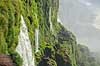 Iguazu vandfaldene. Klippeside overgroet med mos ved Iguazu vandfaldene - set fra den Argentinske side af vandfaldene  Iguazu Argentina Sydamerika  Vandfald, The Iguazu Falls, Iguaz� Falls, Iguassu Falls, Igua�u Falls, Cataratas del Iguaz�, Cataratas do Igua�u 