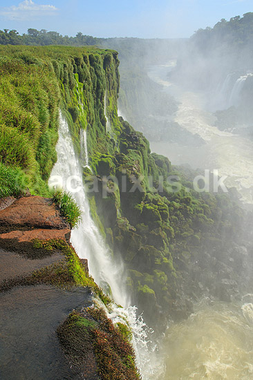 Iguazu vandfaldene. Klippeside overgroet med mos ved Iguazu vandfaldene - set fra den Argentinske side af vandfaldene; ; Iguazu; Argentina; Sydamerika; ; Vandfald, The Iguazu Falls, Iguaz� Falls, Iguassu Falls, Igua�u Falls, Cataratas del Iguaz�, Cataratas do Igua�u 