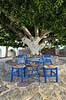 Middelhavsidyl. Bl�malede stole og bord i skyggen under tr� p� Kreta   Heraklion / Kreta Gr�kenland   Sommerferie, afslapning, hvile, pause