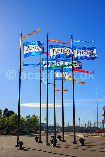 Fishermans Wharf. Fisherman's Wharf ( eller Pier 39 ) i San Francisco, USA; ; Fishermans Wharf / San Francisco / Californien; USA; ; ; Sev�rdigheder, turisme