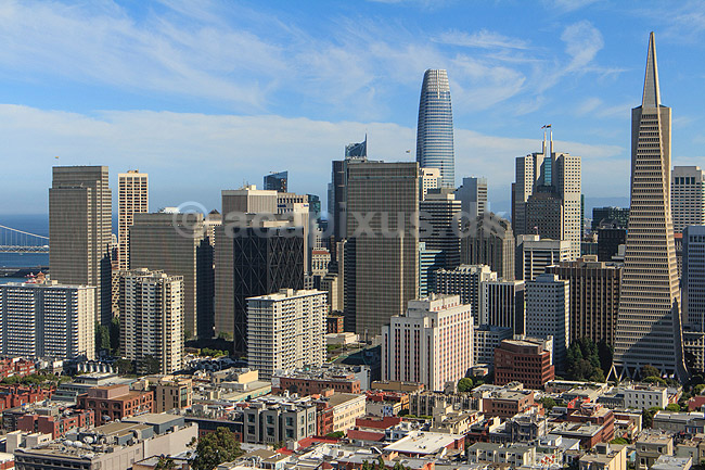 San Francisco. Financial district i San Francisco set fra toppen af Coit Tower; ; San Francisco / Californien; USA; ; ; Skyskrabere, metropol, storby