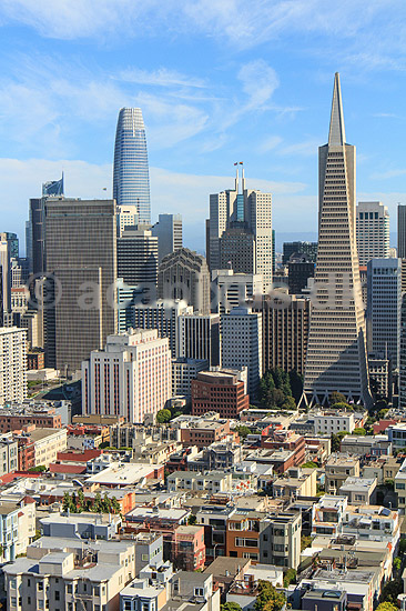 San Francisco. Financial district i San Francisco set fra toppen af Coit Tower; ; San Francisco / Californien; USA; ; ; Skyskrabere, metropol, storby