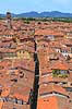 Lucca. Hustage og gader i Lucca set fra Torre Guinigi  Lucca / Toscana Italien   Toscany, toscansk, turisme, sightseeing