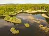 Hareskoven. Skallemose S� i Jonstrupvang i Hareskoven  Hareskoven Danmark   Skovs�, skove, skovbrug