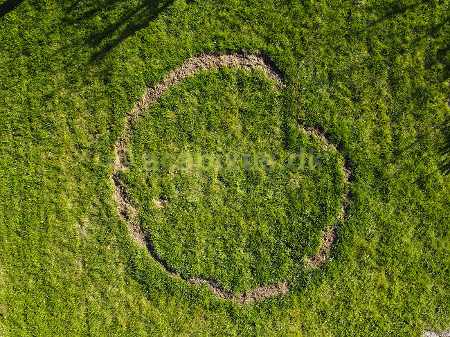 Hekseringe. En heksering med form som et hjerte i gr�spl�ne; ; M�l�v; Danmark; ; svampe; haver, gr�spl�ner, dronefoto