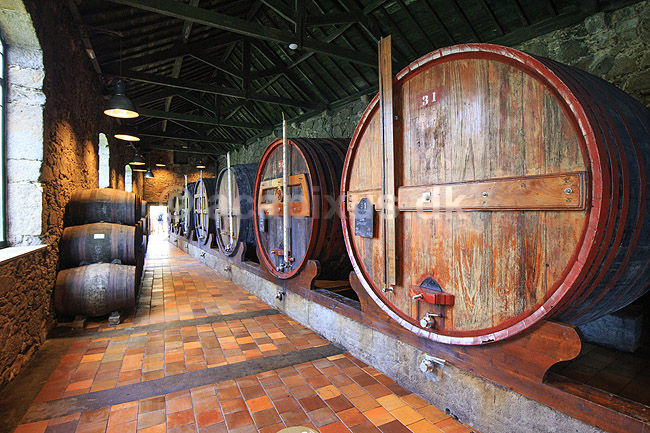 Portvin. Portvin lagres til Ruby Port p� egetr�sfade i vink�lderen hos producenten Burmester; ; Vila Nova de Gaia / Porto; Portugal; ; ; Vin, vine, drikkevarer, vinproduktion, lagring