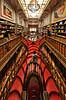 Livraria Lello. Trappen i Livraria Lello, som har givet inspiration til trapperne p� Hogwarts i Harry Potter filmene  Porto Portugal   B�ger, boghandel, boghandlere, r�d, trapper, design, Art Deco