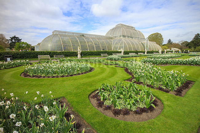 Kew Gardens. Palm House / Palmehuset i Kew Gardens / Royal Botanic Gardens, Kew; ; Kew Gardens / London; England; ; sev�rdigheder; Botanisk have, botaniske haver, planter, botanik, drivhuse