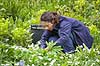 Kew Gardens. Gartner arbejder i Kew Gardens / Royal Botanic Gardens, Kew  Kew Gardens / London England  sev�rdigheder Botanisk have, botaniske haver, planter, botanik, havearbejde