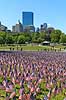 Memorial day. Skov af sm� flag ved Soldiers and Sailors Monument i Boston Common p� Memorial Day, som er en helligdag i USA, hvor man mindes dem, som er faldet under tjeneste i landets v�bnede styrker. Helligdagen afholdes hvert �r den sidste mandag i maj.Mange mindes ogs� bare dem man har mistet gennem tiden, som ikke n�dvendigvis d�de under krigen  Boston / Massachusetts USA   Stars and Stribes
