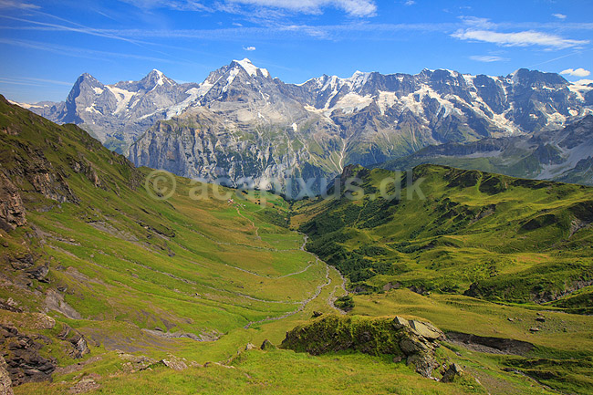 Alperne. Alpedal med Schiltbach bjergb�kken og Jungfrau bjergtinden i baggrunden; ; Lauterbrunnen; Schweiz; ; ; Alperne, bjerglandskab, Alpelandskab, bjergvandring