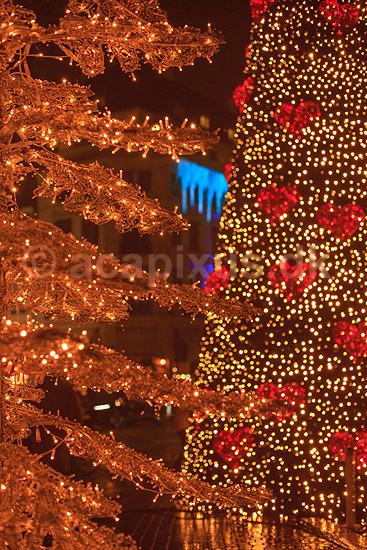 Julemarked p� Kongens Nytorv. Juletr� med r�de hjerter til Julemarked p� Kongens Nytorv - i baggrunden Hotel D Angleterre; ; Kongens Nytorv / K�benhavn; Danmark; ; Sev�rdigheder; Handel, julemarkeder, juleudsmykning, julestemning