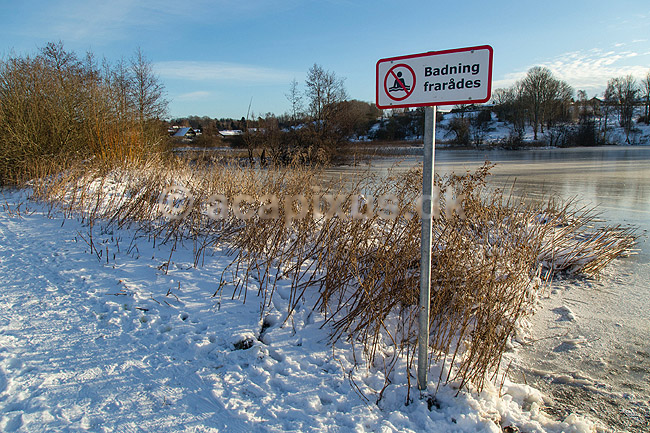 Badning frar�des. Skilt med teksten badning frar�des ved M�llemosen i M�l�v - vandet er ogs� lidt koldt; ; M�l�v; Danmark; ; ; Vinter, vinterbadning, moser