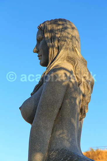 Den Store Havfrue statue p� Drag�r Havn. Den Store Havfrue, bestilt af Peter Bech, udf�rt i Kina i kinesisk granit, blev i 2006 rejst over for skulpturen Isbj�rn med unger p� Langeliniekajen og blev i 2018 flyttet til Drag�r Fort. Blev i 2025 anklaget for at v�re sexistisk, pornografisk og vulg�r og Drag�r Kommune �nsker den fjernet. Alle adspurgte under fortograferingen anser den dog som smuk og mener den om noget skulle have en mere fremtr�dende plads.; ; Drag�r; Danmark; ; sev�rdigheder; Havfruer, skulpturer