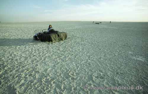 Overnatning i feltsenge i Makgadikgadi Pans, Botswana; ; Makgadikgadi Pans; Botswana; Afrika; ; 