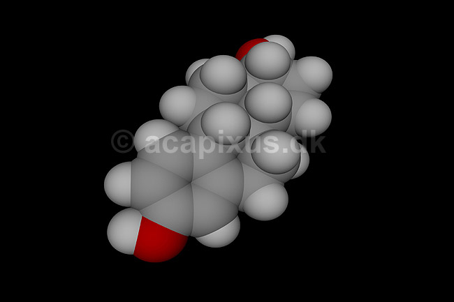 Estradiol - kvindeligt k�nshormon; ; ; ; ; ; videnskab biokemi